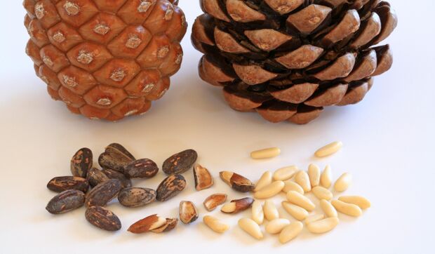 Pine nuts will help strengthen the erection and improve the mood of the man. 